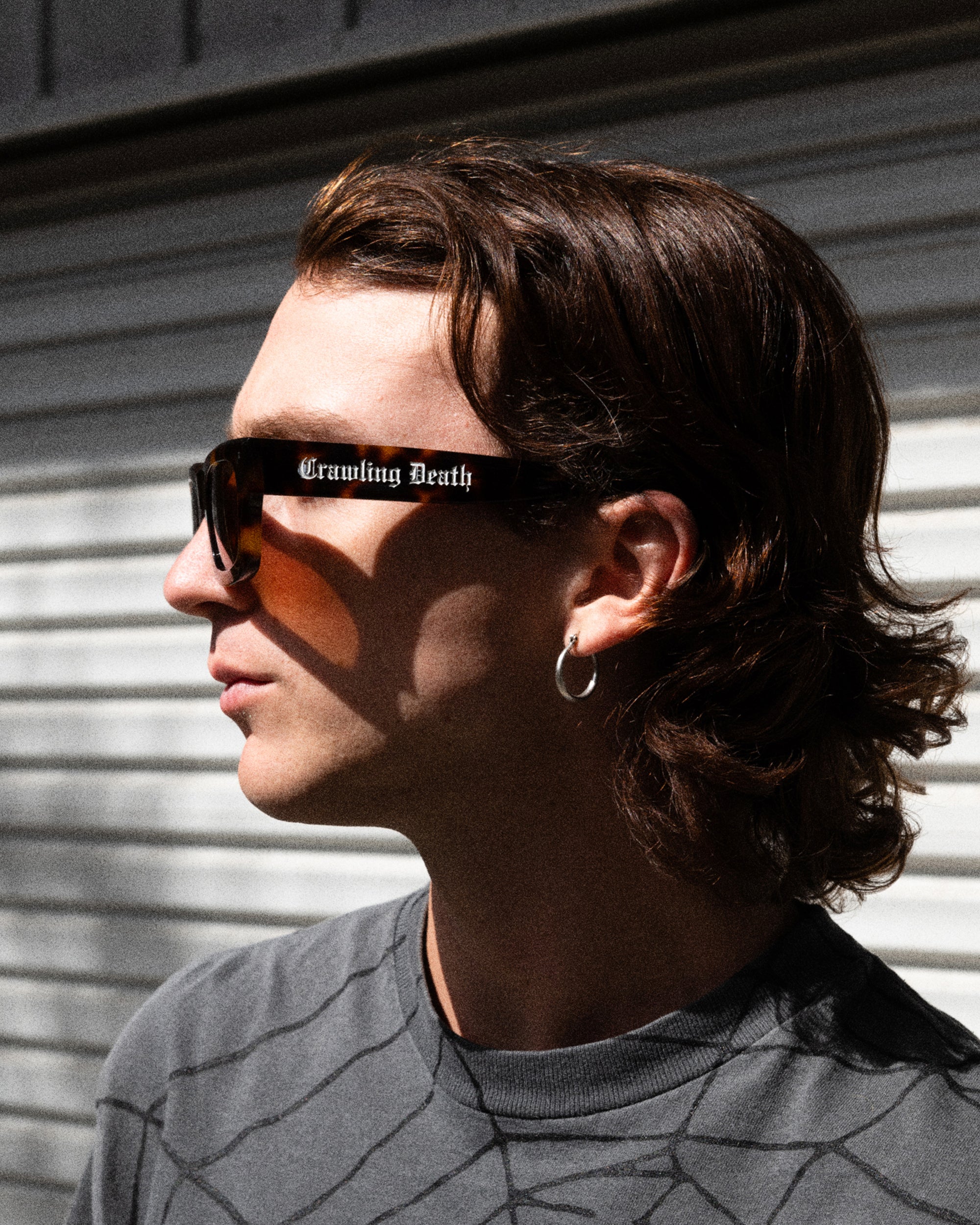 Radio Tortoise Shell