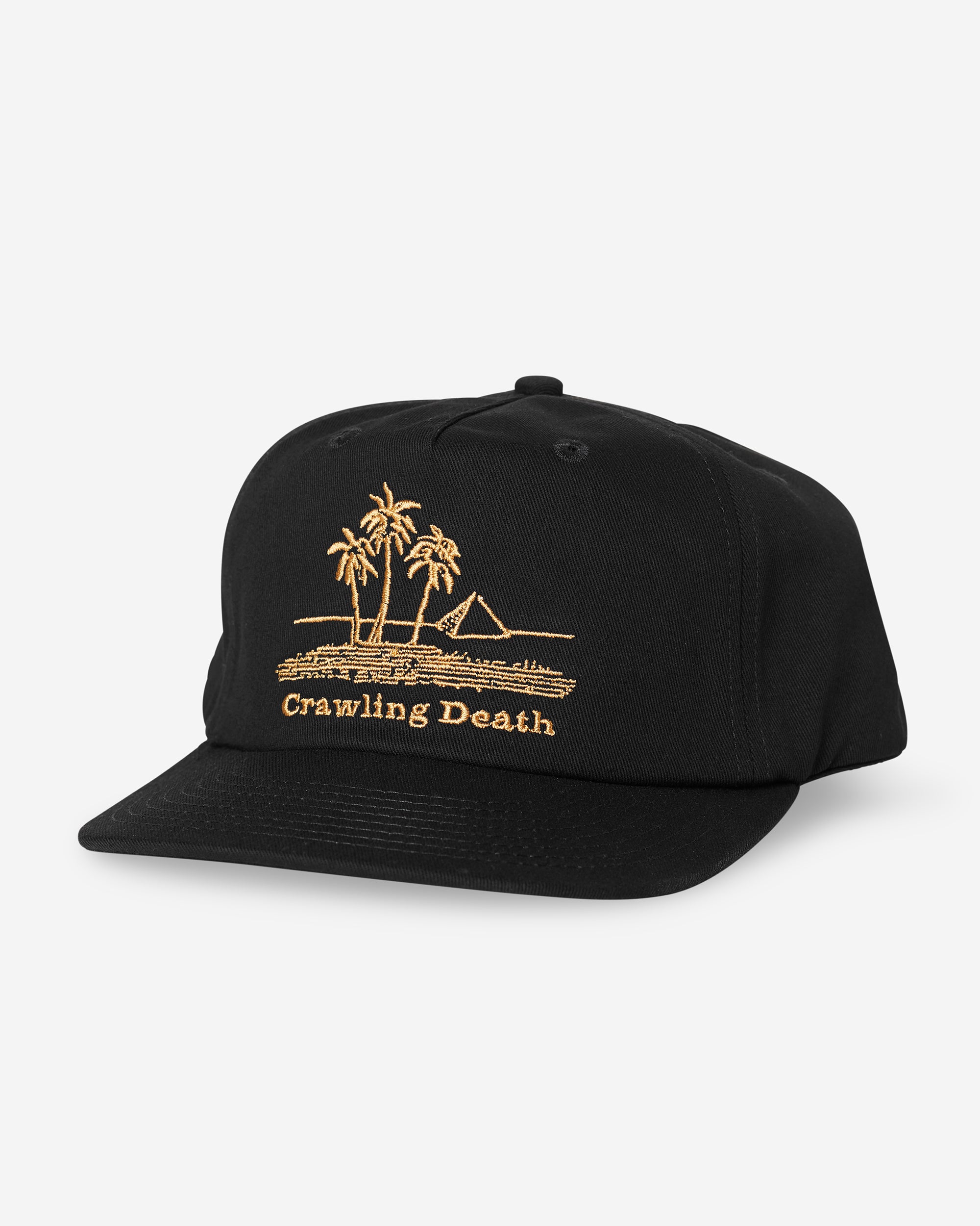 Palms Hat | Black