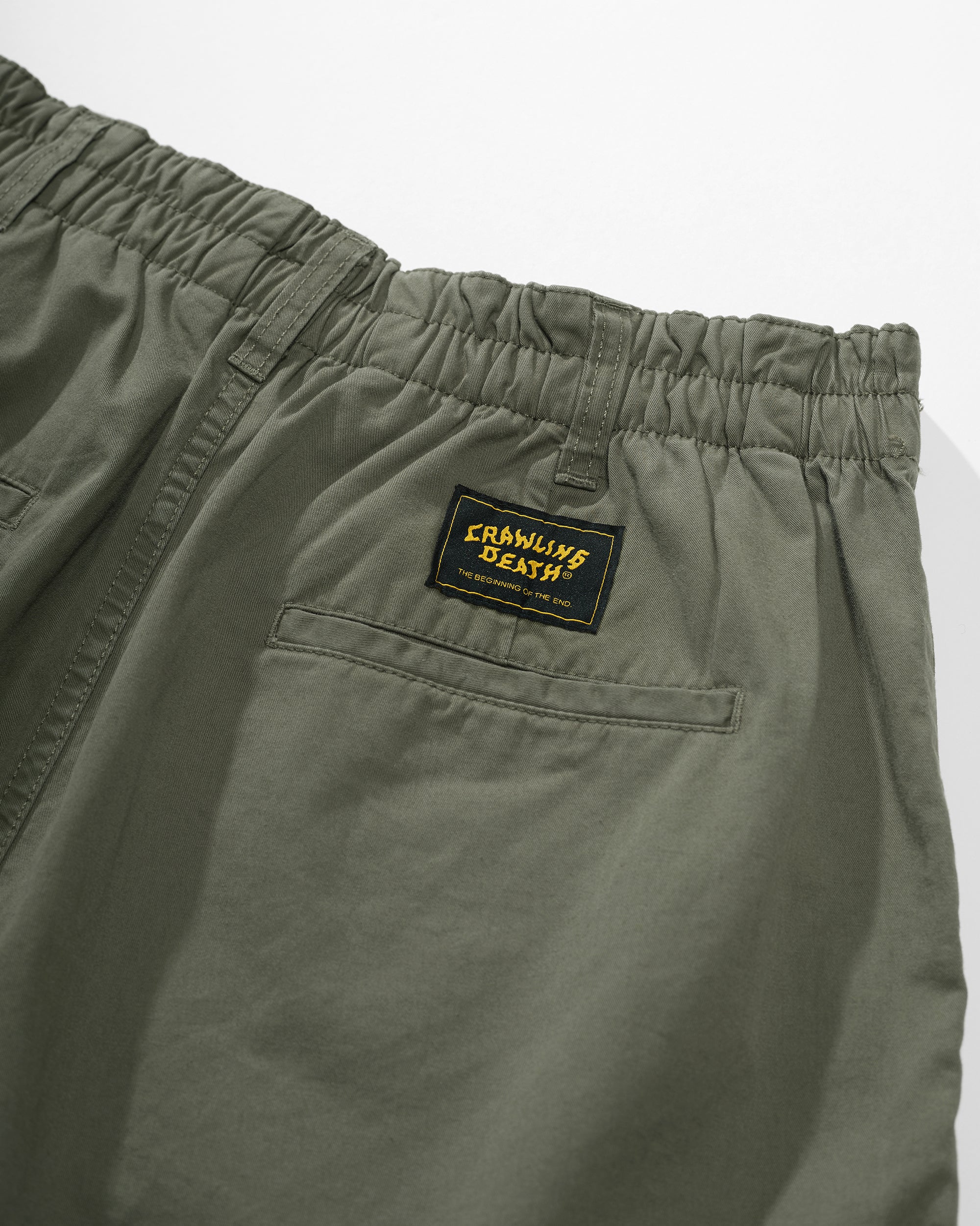 Heritage Pleated Pants | Light Green