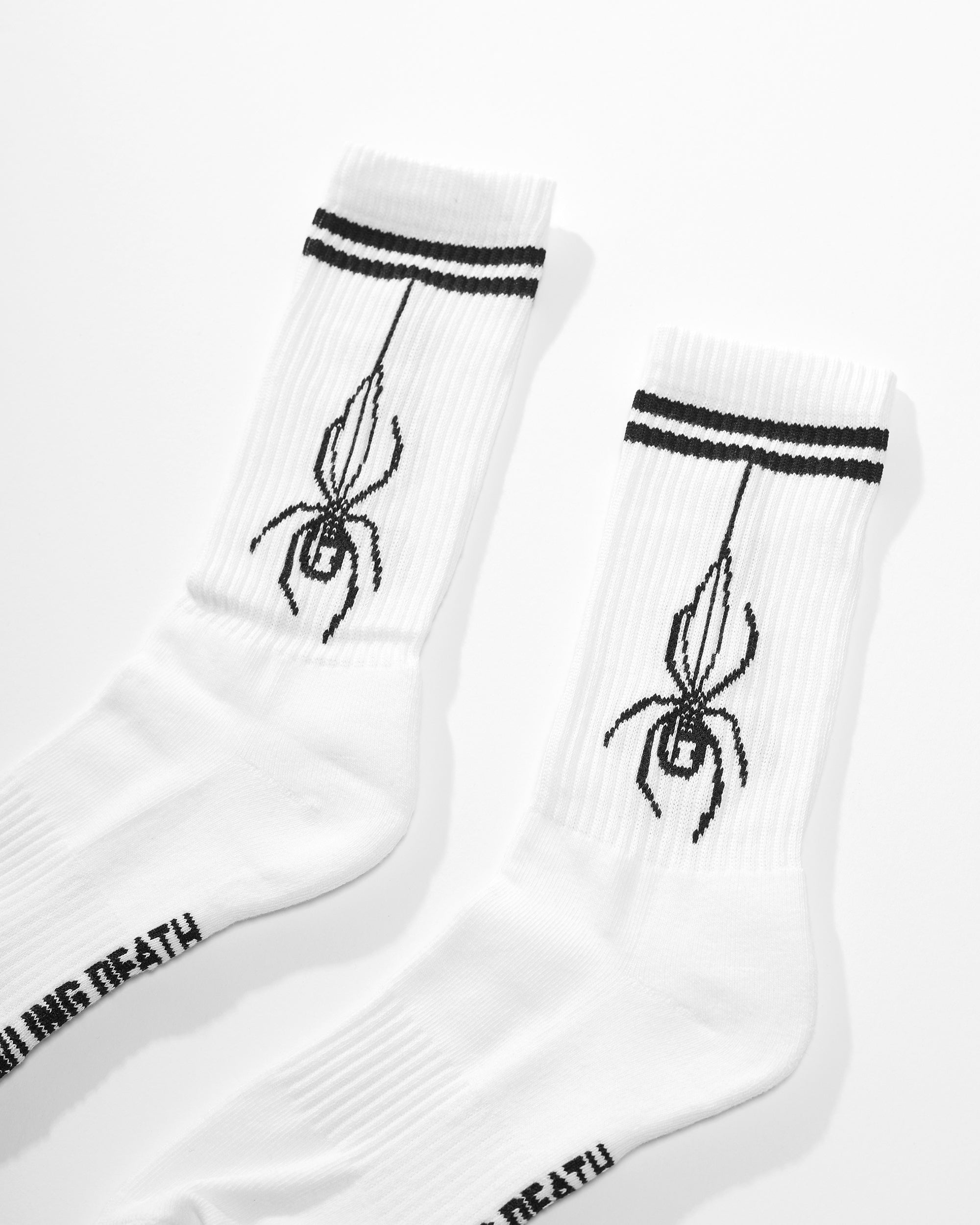 Spider Striped Socks White | Spider Sinclair